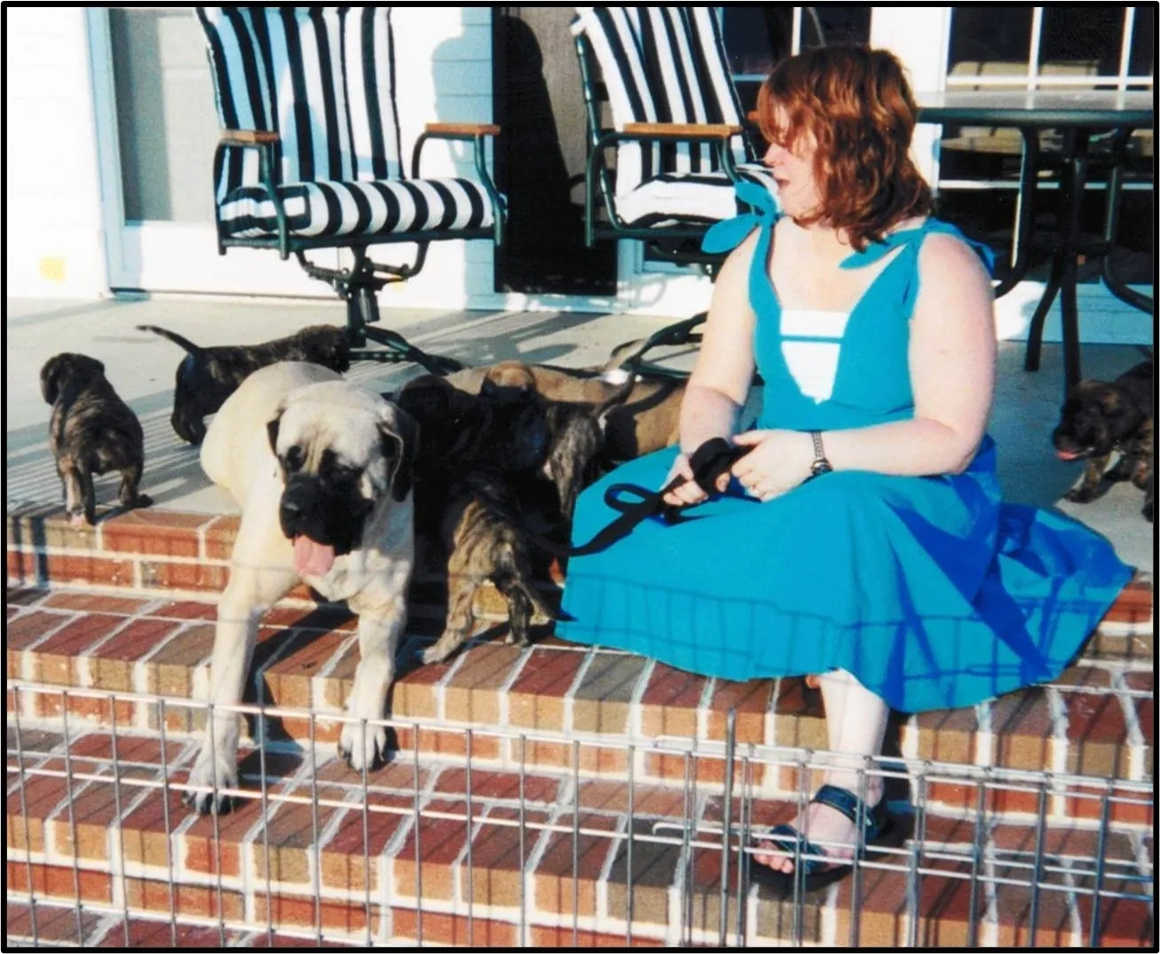 A woman sitting on steps with two dogs.