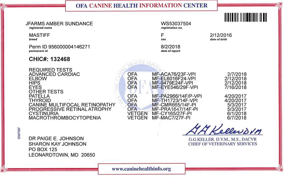A registration card for with a list of medical test