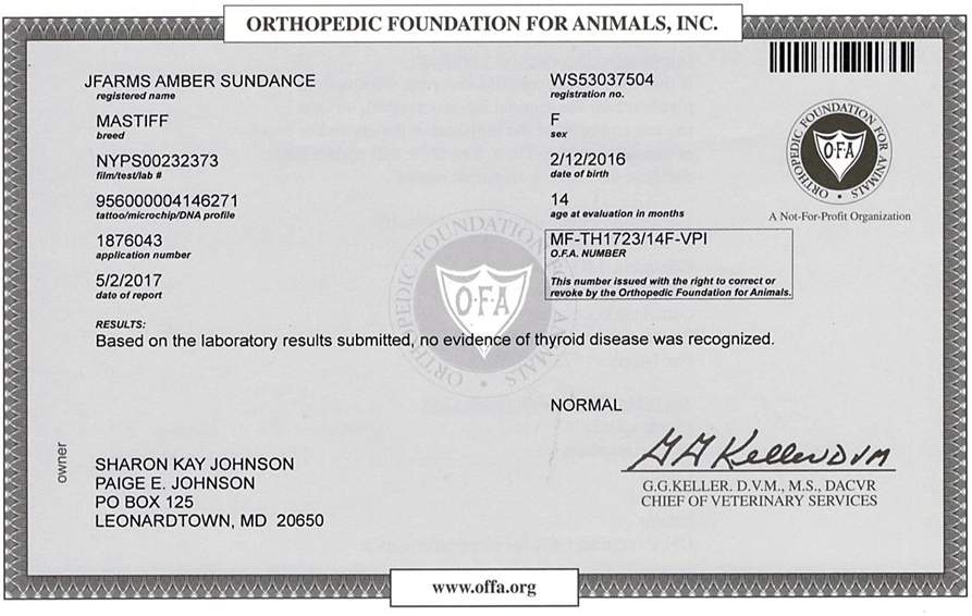 A medical certificate for an animal that is in the process of being euthanized.
