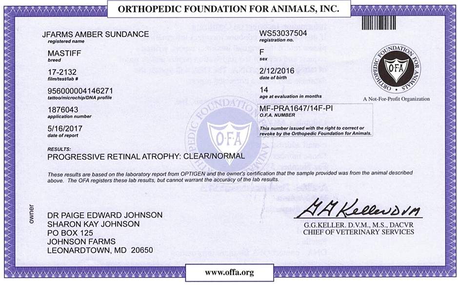 A certificate of registration for an animal.